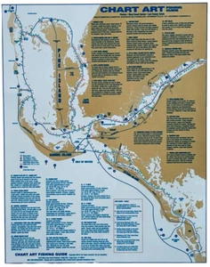 Guía de pesca de arte gráfico de colección Florida West Coast Lee County Guide 2001 Y2K - Imagen 1 de 3