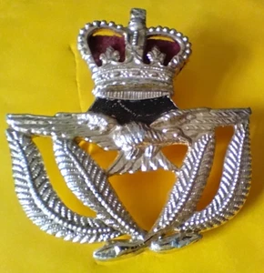 Royal Airforce Warrant Officers Anodised Cap Badge - Queens Crown (43) - Picture 1 of 16