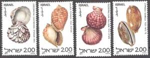 Israel 1977 Sea Shells from Red Sea MNH (SC# 678-681) - Picture 1 of 1