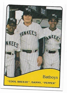 Tarjeta rara de ligas menores Batboys Cool Breeze Danny 1979 TCMA West Haven Yankees #22 - Imagen 1 de 1