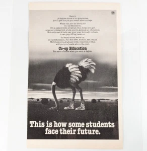 Co-op Education Laminated Ad | Vintage College Program Poster Retro Educational - Picture 1 of 5
