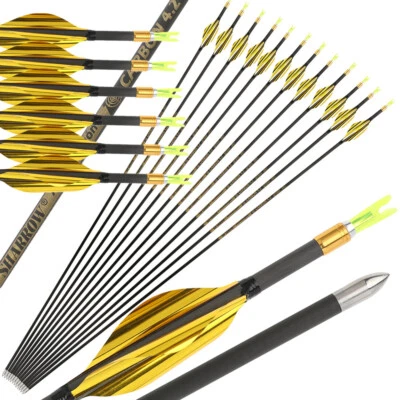 31" Pure Carbon Arrow SP700-1000 Archery Spin Wing Vane CompoundBow Shooting 001 - Image 1 of 4