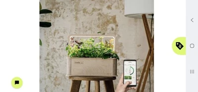 Green Box Berlin Green Growbox Mini Gewächshaus - Top Zustand  - Bild 1 von 4