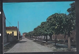 Cartolina Palazzolo Vercellese Viale Garibaldi AB2578 - Foto 1 di 1