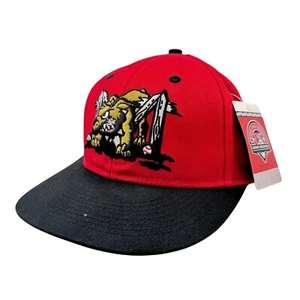 Batavia Muckdogs Hat Cap Youth Red Adjustable Embroidered Minor League Baseball - Picture 1 of 5