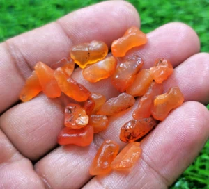19 Pcs Lot Fantastic A+ Carnelian Rough Size 11-13 mm Loose Gemstone For Jewelry - Picture 1 of 6