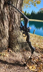 Ben Pearson Archery Renegade Compound Bow 70#/29" Draw. Made In USA - Picture 1 of 8