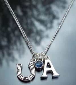 Personalised Horseshoe Birthstone Necklace & Silver Plated Initial by Hudegate - Picture 1 of 17