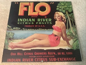 Original Vintage FLO Citrus Orange Crate Label Glass Framed Oak Hill ,FL - Picture 1 of 2