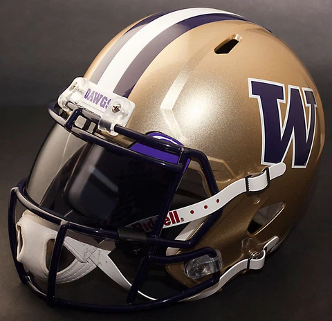 *CUSTOM* WASHINGTON HUSKIES NCAA Riddell SPEED Full Size Replica Football Helmet Cover