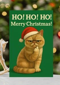 Lustige Weihnachtskarte Rude Ho Ho Ho Katze Weihnachten - Grumpy Cat Festive Xmas Card - Bild 1 von 2