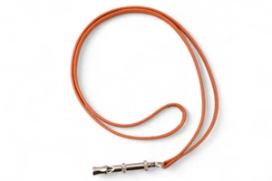 Hermes Authentic Choker/Halskette Metall Chiffre Hundepfeife/Hundepfeife Orange - Bild 1 von 4