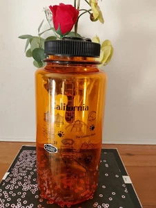 Dun Edwards Paints Nalgene 32oz 1L Wide-Mouth Water Bottle BPA Free. - Picture 1 of 8