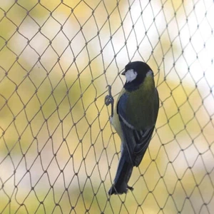 Anti Bird Netting 2m 3m 4m 5m 10m Net Fruit Pond Garden Bird Flu Protection - Picture 1 of 7