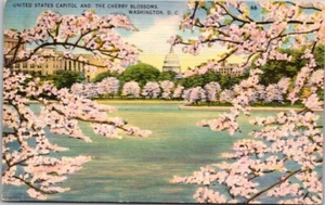 US Capitol Cherry Blossoms Washington DC 1952 Vintage Linen Postcard B29 - Picture 1 of 2