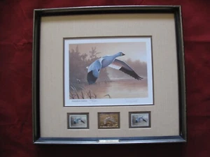 1988 Daniel Smith SIGNED Federal Duck Stamp w/Framed Print Snow Goose 200/6500 - Picture 1 of 13