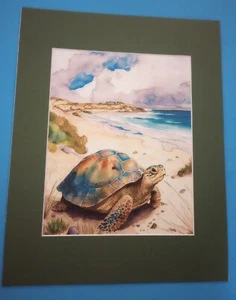 11" x 14" Matted 8" x 10" Print of Watercolor Picture Tortoise Turtle on a Beach - Picture 1 of 3
