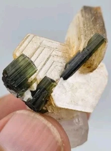 12g Terminated Tourmaline With Mica & Quartz From Northern Area Of Pakistan - Picture 1 of 18