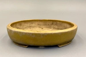 Olla Bonsái Japonesa Ovalada "WATANABE IKKO" W:5.1 pulgadas/L:3.9 pulgadas/H:1.0 pulgadas de JAPÓN #121 - Imagen 1 de 12