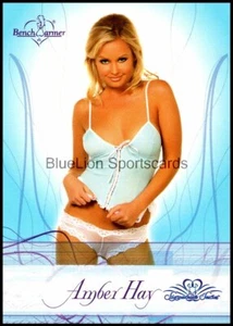 2008 AMBER HAY BENCH WARMER CARD - Picture 1 of 2
