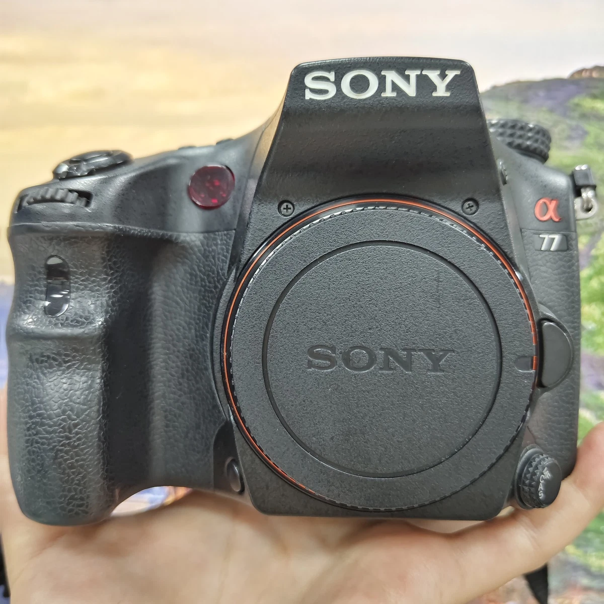 Sony Alpha A77 Digital Cameras for sale | eBay UK
