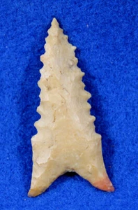 Dalton Classic Point Authentic Prehistoric Arrowhead Artifact Native Indian - Picture 1 of 8
