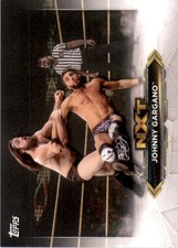 2020 Topps WWE NXT Roster #NXT24 Johnny Gargano