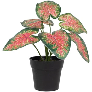 Planta artificial en maceta floral Northlight 8" Rohdea Spring - Imagen 1 de 6