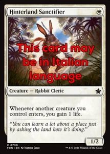 MTG HINTERLAND SANCTIFIER EXC - CONSACRATORE DELL'ENTROTERRA 730 - FDN - MAGIC - Picture 1 of 1
