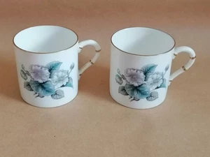 Royal Worcester Coffee Cups X2 replacements - Picture 1 of 8