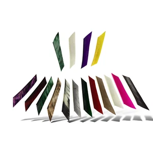 13 Stück "Izzi" Pope & Young Feather Fletches - Flügel/Farbe oder Naturstäbe wählbar - Bild 1 von 21