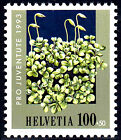 1515 postfrisch MNH Schweiz Jahrgang 1993 Weihnachten Sternmoos Moos Pflanze