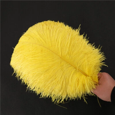 1 pieza Pluma de Avestruz Blanco Natural 8-20 pulgadas / 20-50 cm Hágalo Usted Mismo Disfraz de Desmaleza Cabecera Foto 1 de 4