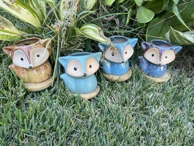 Mini jardineras coloridas en miniatura suculentas de zorro de 4 piezas Foto 1 de 4