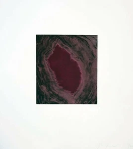 Anish Kapoor (británico) grabado original firmado numerado - negrura de su vi... - Imagen 1 de 6