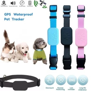 Mini Localizzatore GPS per Animali Domestici Tracciatore Impermeabile Cane Gatto Collare Anti-Smarrimento - Foto 1 di 16