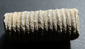 Fósil de cola de pescado de mar - Imagen 1 de 5