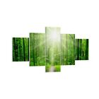 Canvas Print 125x70cm Wall Art Picture Sun Rays Forest Summer Framed Artwork