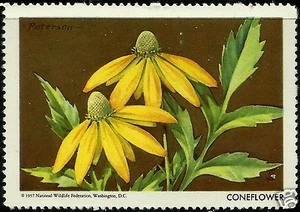 CONEFLOWER, NATIONAL WILDLIFE FEDERATION CINDERELLA 1957, MNH - Picture 1 of 1