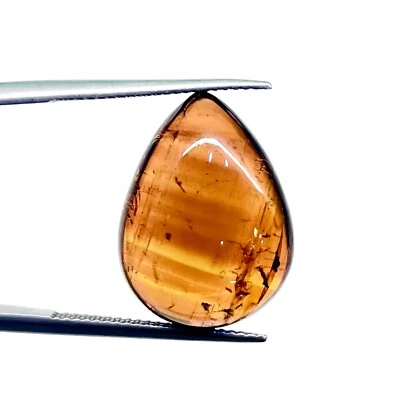 17.90 Cts Natural Tourmaline 20x15mm Bi Color Cabochon Untreated Loose Gemstone - Image 1 of 4