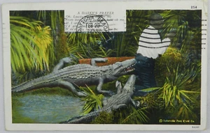 1933 Man Praying While Getting Bitten From Behind in Swamps - Vintage Postcard - Picture 1 of 2