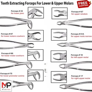 Dental Tooth Removal Extracting Forceps Premolars Upper Molars Jaws Pinzas Pinze - Picture 1 of 19