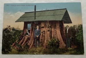 Cabin In Cedar Stump, Washington. Postcard (T2) - Picture 1 of 2