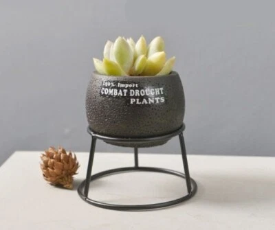 Hierba Flor Cemento Maceta con Soporte de Metal Interior Jardín Planta Soporte Escritorio Decoración Foto 1 de 4