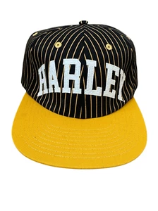 Gorra plana Harley Davidson Bill - Imagen 1 de 3