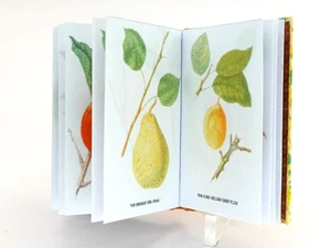 Puppenhaus Maßstab 1:12 Buch, The fruits of America, 1853 - Bild 1 von 14