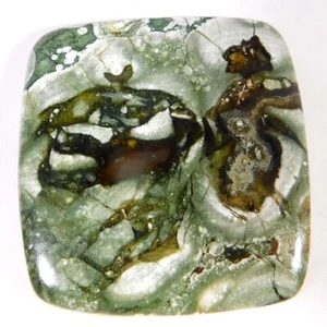 Riolita natural de selva tropical sin tratar 50,40 quilates. Cojín de piedra preciosa suelta cabujón - Imagen 1 de 3