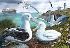 Treasures Of Aotearoa S3 XL Jigsaw Puzzle - Albatross Rookery, 300 Piece - Holds