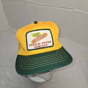 Vintage Dekalb Pfizer Genetik Samen Trucker Netz Patch Mütze Swingster Marke EUc - Bild 1 von 8