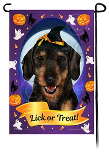 Halloween Garten Flagge - Drahthaar schwarz und hellbraun Dackel - Bild 1 von 1